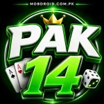 PAK14 GAME APK LOGO