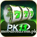 PK11 GAME