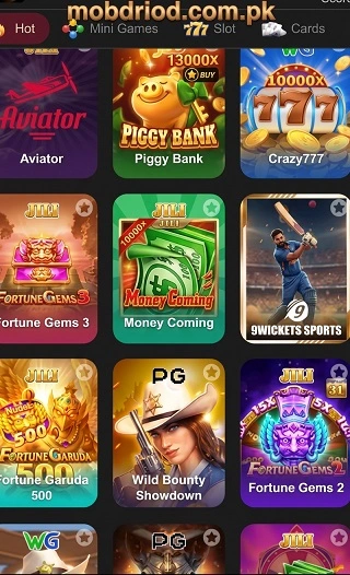 ER666 Game