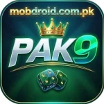 PAK9 Game APK Logo