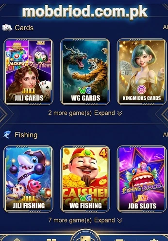 ZC999 Game