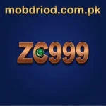ZC999 Game Logo